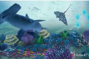 so米体育-在线观看nba直播|足球|篮球cba比赛高清视频最新版